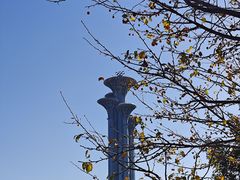 -北京奥林匹克公园