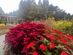 -庐山风景区花径公园