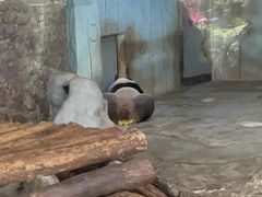 -海南热带野生动植物园