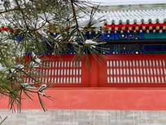 -天坛公园