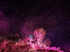 -常德桃花源景区