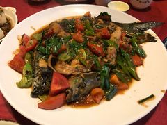 -生态苑农庄(十里画廊遇龙河店)