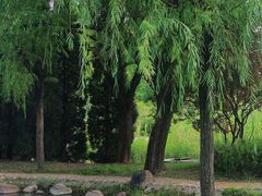 -郑东新区湿地公园