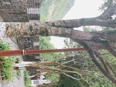 -汉中石门栈道风景区