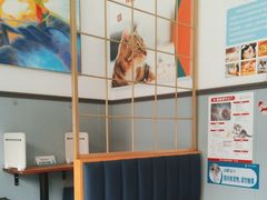 -伟伟宠物医院·瑞派猫友好医院·猫科(光谷店)