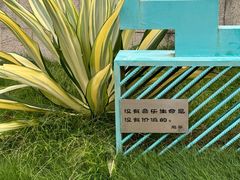 -白石龙音乐公园