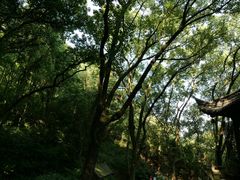 -宁波市保国寺古建筑博物馆