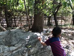 -北京麋鹿生态实验中心