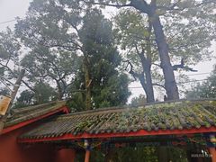 -金堂县云顶石城风景区