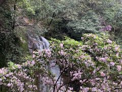 -大鄣山卧龙谷景区