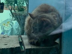 -青藏高原野生动物园