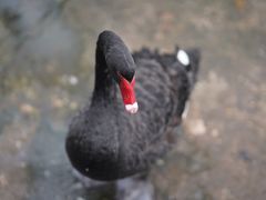 -海南热带野生动植物园