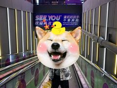 -Tenker Club弹刻极限主题公园 · 蹦床 · 团建 · 生日派对(大关店)