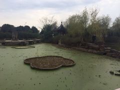 -新场古镇-停车场