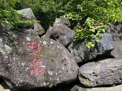 -五营国家森林公园