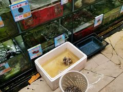 水产区-三亚老渔民海鲜店