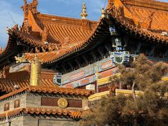 -大召无量寺
