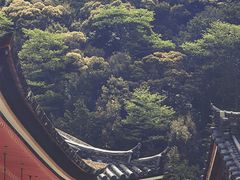-道顿堀