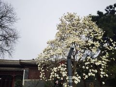 -北京鲁迅博物馆(北京新文化运动纪念馆鲁博馆区)
