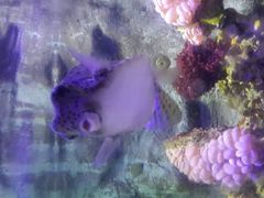 android_upload_pic-郑州海洋馆