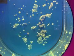 -海合安武汉极地海洋公园