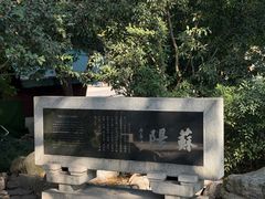 -楼外楼(西湖景区孤山路店)