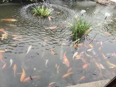 -西江印象酒楼