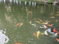 -珠海圆明新园