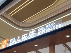 -野人先生Gelato(上海长宁龙之梦店)