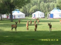 赛罕塔拉-赛汗塔拉风情园