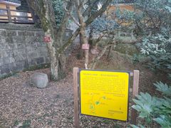 -普陀山慧济禅寺