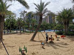 -宝安西湾红树林湿地公园