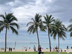 -东郊椰林