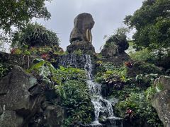 -海口火山口国家地质公园