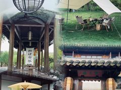 -沙家浜风景区