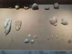 -烟台市博物馆