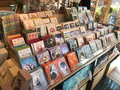 -猫的天空之城概念书店(丽江古城饮玉巷店)