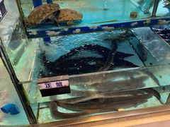 -乐在集市海鲜大排档(平潭店)