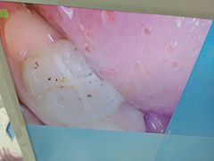 -上海崇美口腔门诊
