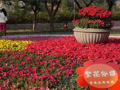 -金鸡山公园