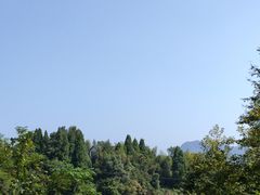 -龙川湾千岛湖国际垂钓中心