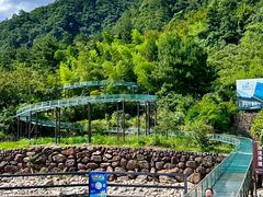 -龙井峡漂流