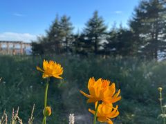 -白草畔自然风景区