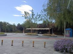 -绿堤公园