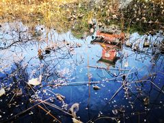 -四川大学(华西校区)