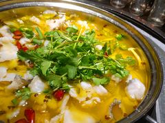 老坛酸菜乌鱼片-冯排骨涮烤火锅(华商国际城店)