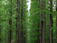 外景-上海怡沁园度假酒店