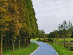 -宜兴龙背山森林公园