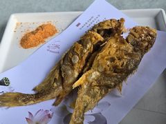 -春色如许·茶食餐厅(桃李春风店)