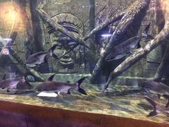 -梦幻海洋王国(吾悦广场张家港店)
